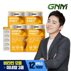 멀티 종합비타민 미네랄 15종 4박스(총 12개월분)